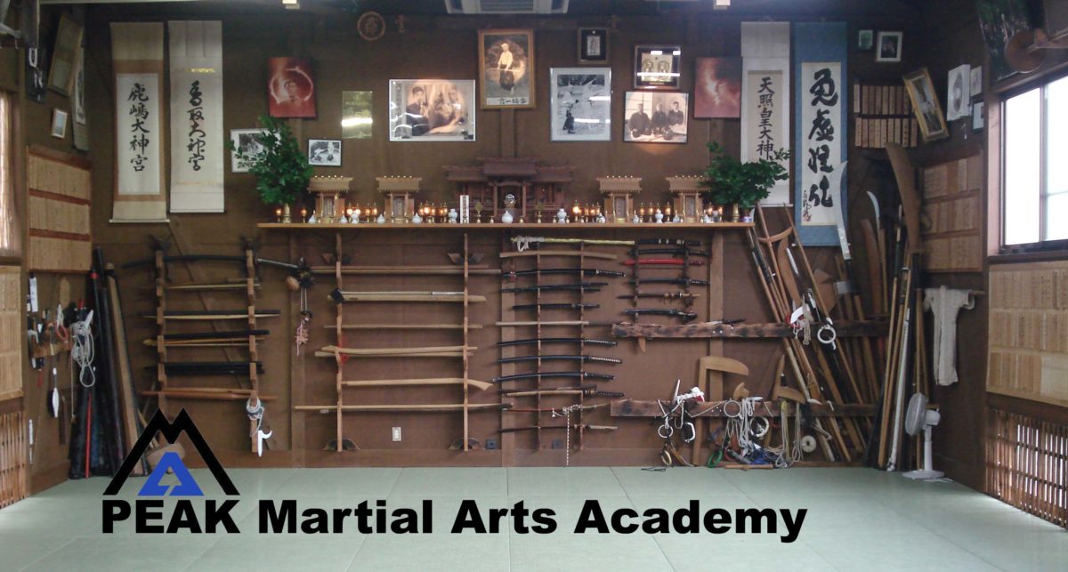 PEAK Martial Arts Academy PEAK Martial Arts